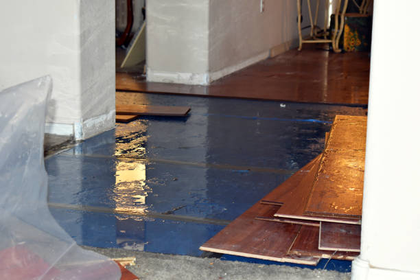 Professional Burst Pipe Cleanup technician working in Laton, CA